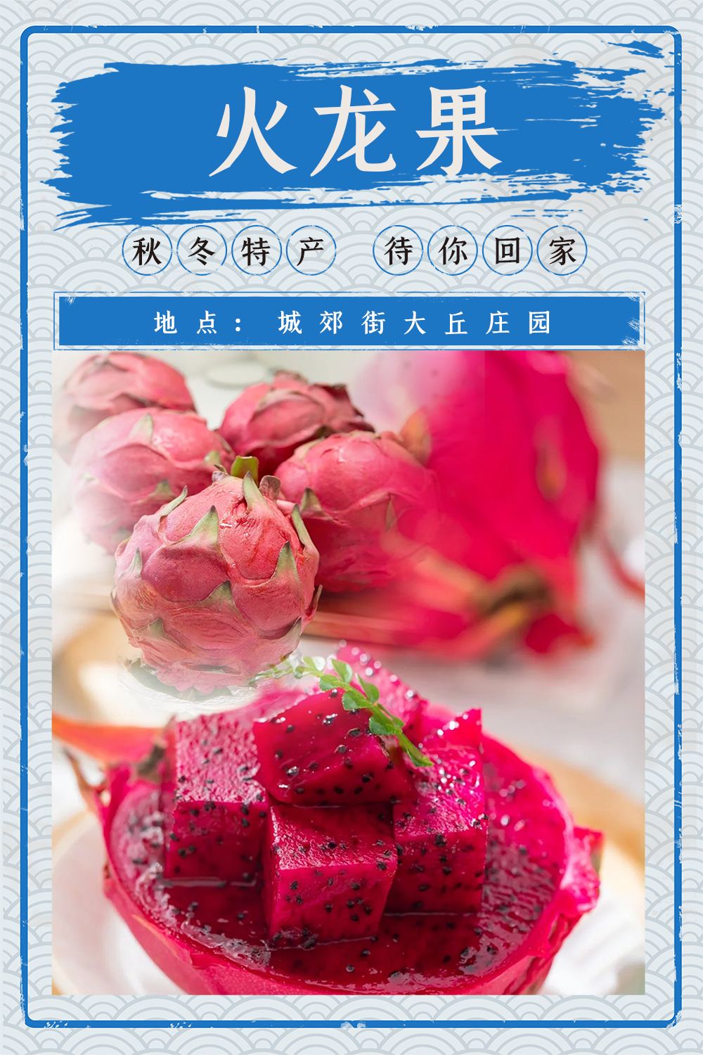 火龙果.jpg