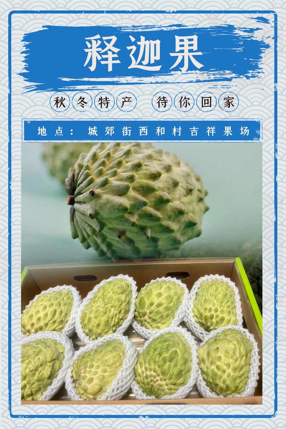 释迦果.jpg