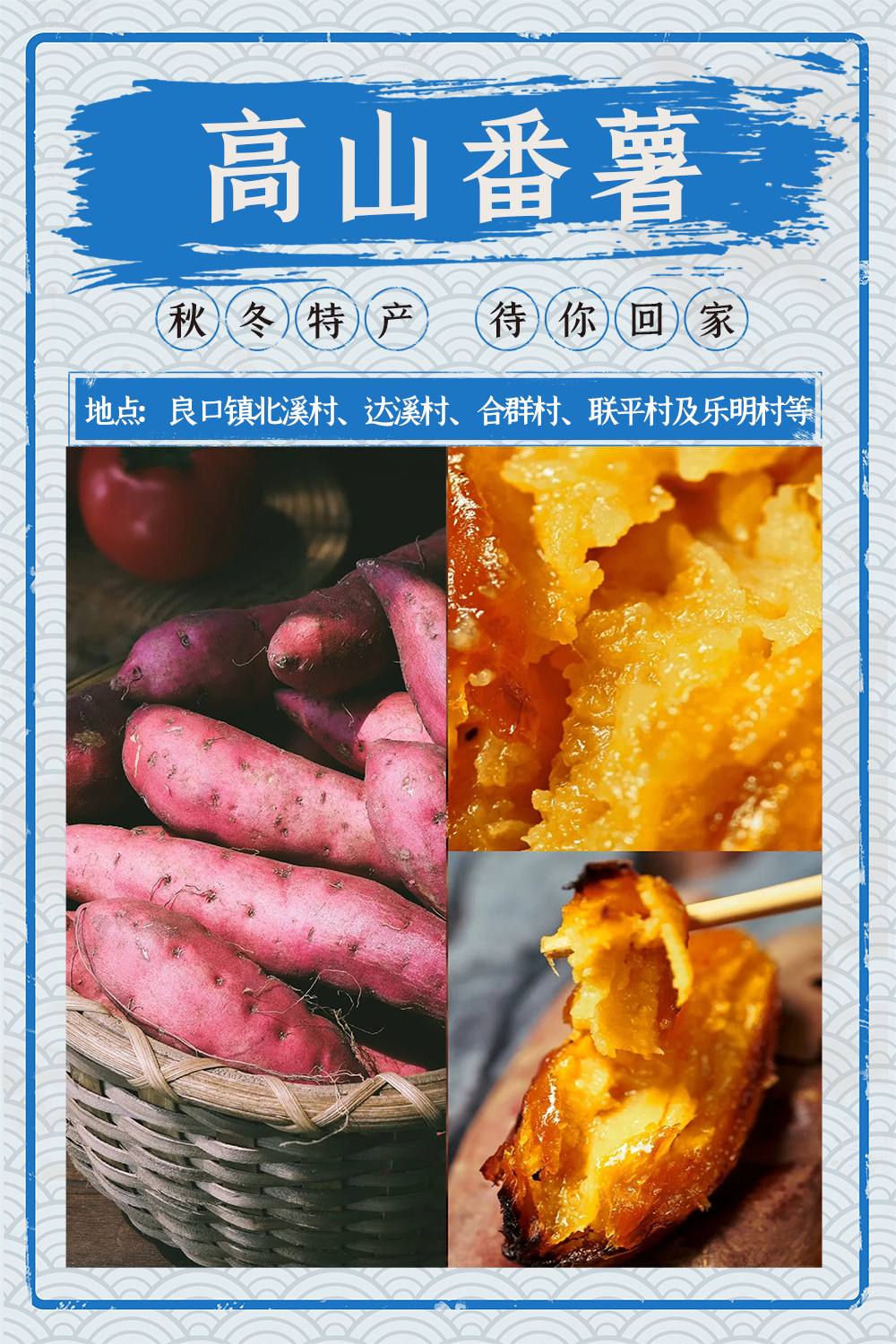 高山番薯.jpg